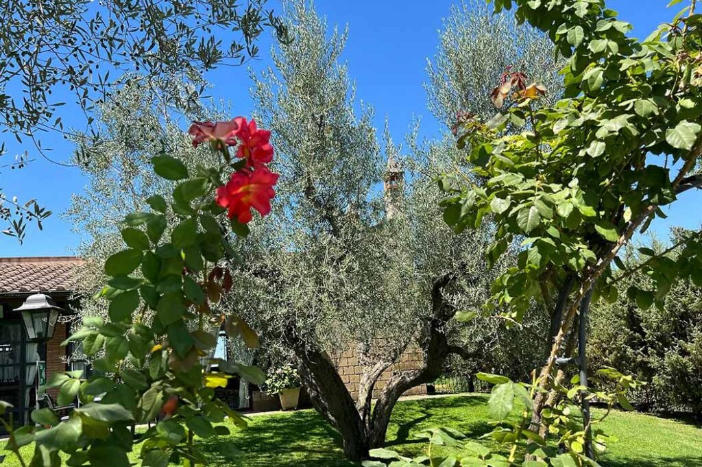 Agriturismo Villa Ione veduta particolare del parco e del giardino