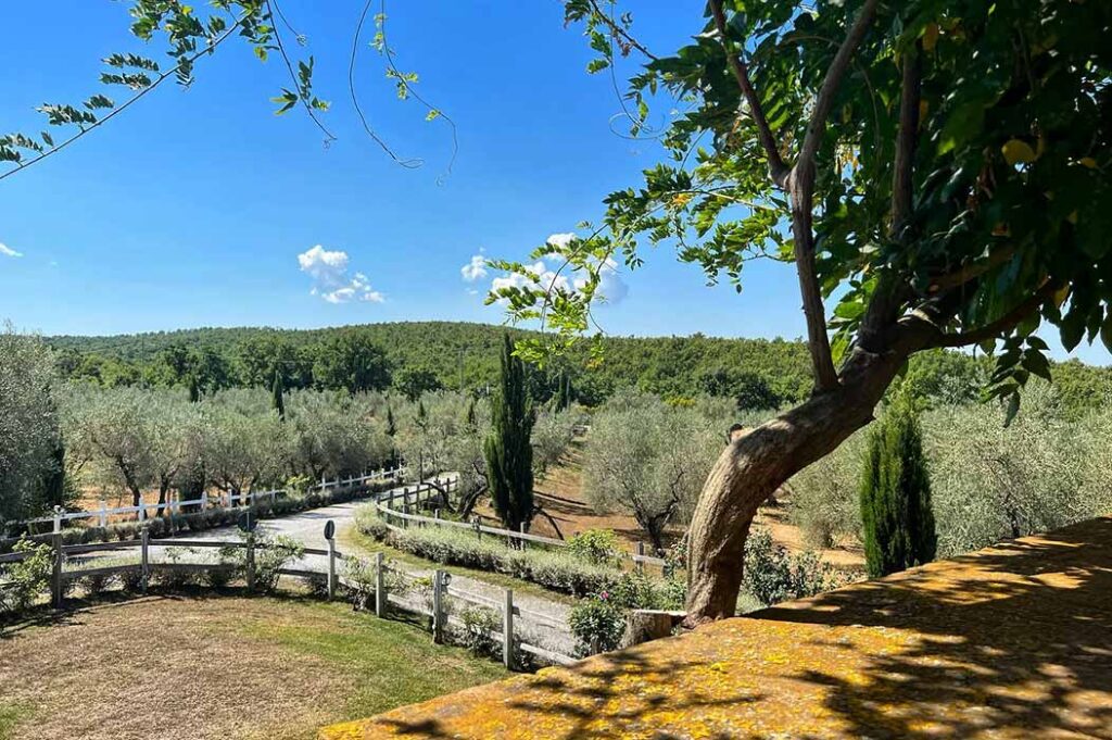 Agriturismo Villa Ione veduta panoramica dei terreni antistanti alla struttura